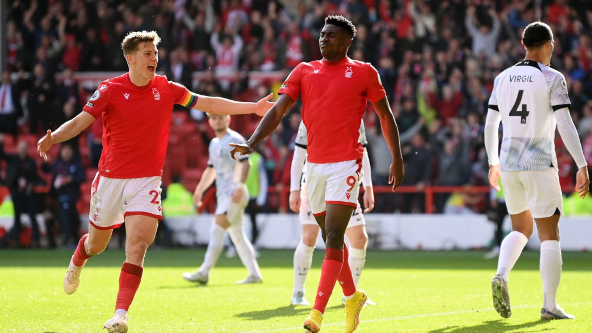 似乎每个人 似乎每个人